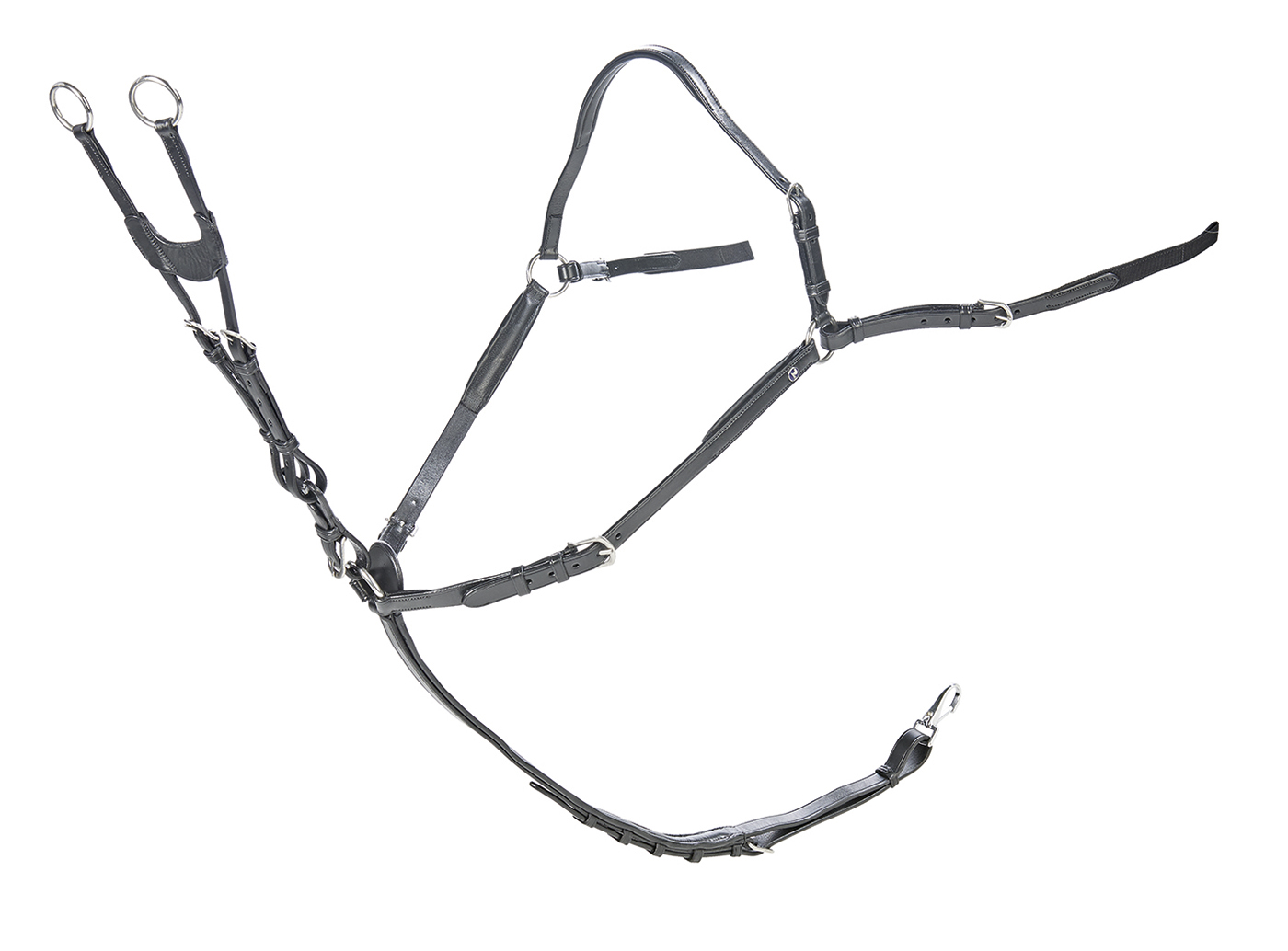 Busse Vorderzeug IMOLA VB/WB, schwarz Horse Shop