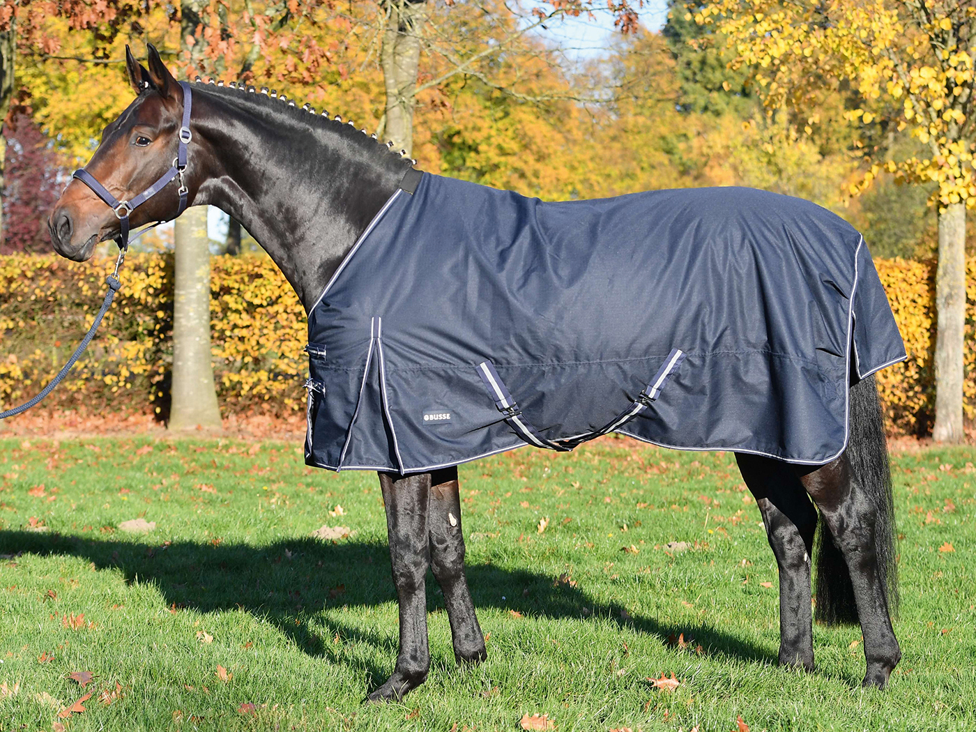 Busse Paddockdecke TURN 50 115, navy Horse Shop